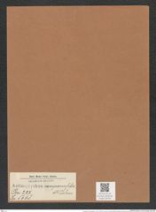 Actinoptychus campanulifera A. Schm. (de-Toni-Nr.: Genus 227, Species 5608) Zeichnungen Sammlung Grunow Mappe 05350 (Herbarium_W_Grunow_drawings_Folder_05350)